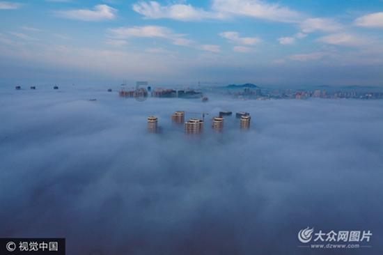 六个月猫咪可以喝红薯汤吗?——知识星球平台,专注于知识分享与碰撞